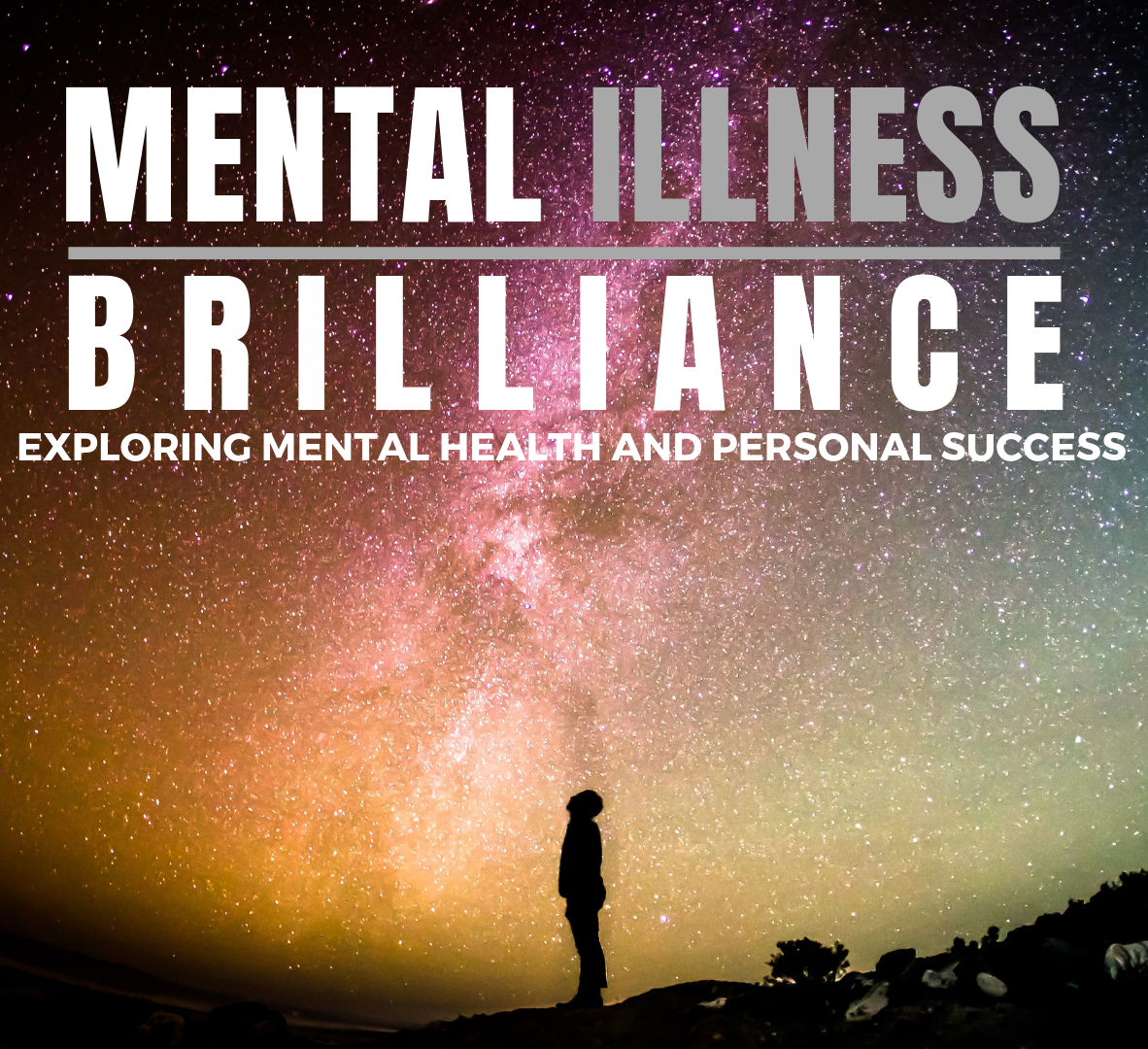 mental illness mental brilliance cover